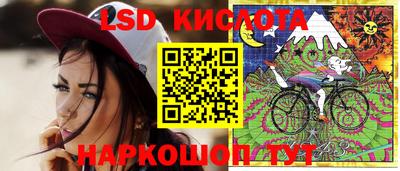 молекула духа Камень-на-Оби