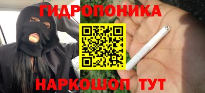 молекула духа Камень-на-Оби
