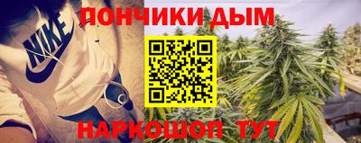 молекула духа Камень-на-Оби