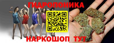 молекула духа Камень-на-Оби