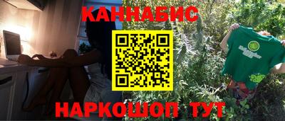 молекула духа Камень-на-Оби