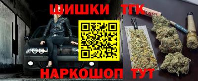 молекула духа Камень-на-Оби