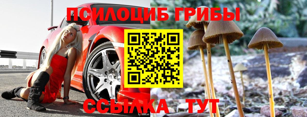 Галлюциногенные грибы ЛСД  Вход с VPN  Десногорск 